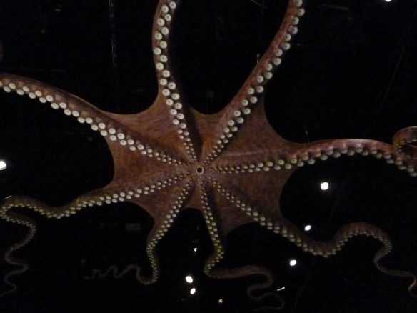 Field Museum:"Opening the Vaults: Wonders of the 1893 World's Fair" Exhibit