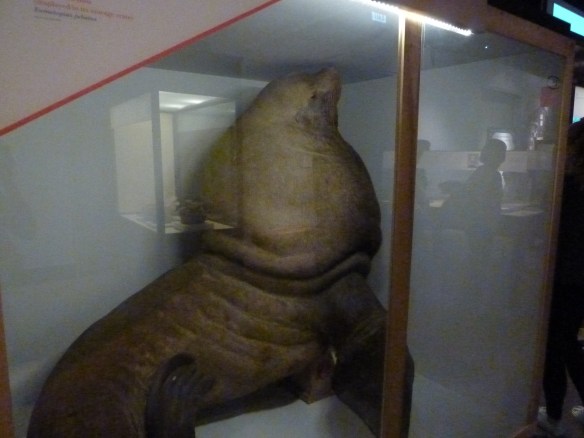 Field Museum:"Opening the Vaults: Wonders of the 1893 World's Fair" Exhibit