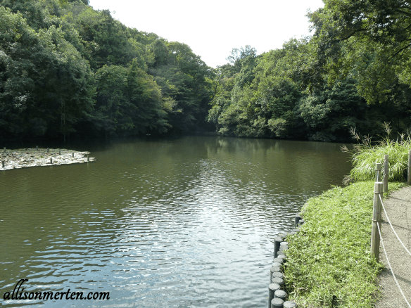 Otsuri-Dai (the Fishing Spot). Look at how peaceful & beautiful it is! <3