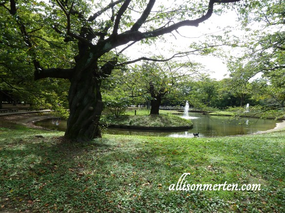 yoyogi-park-1